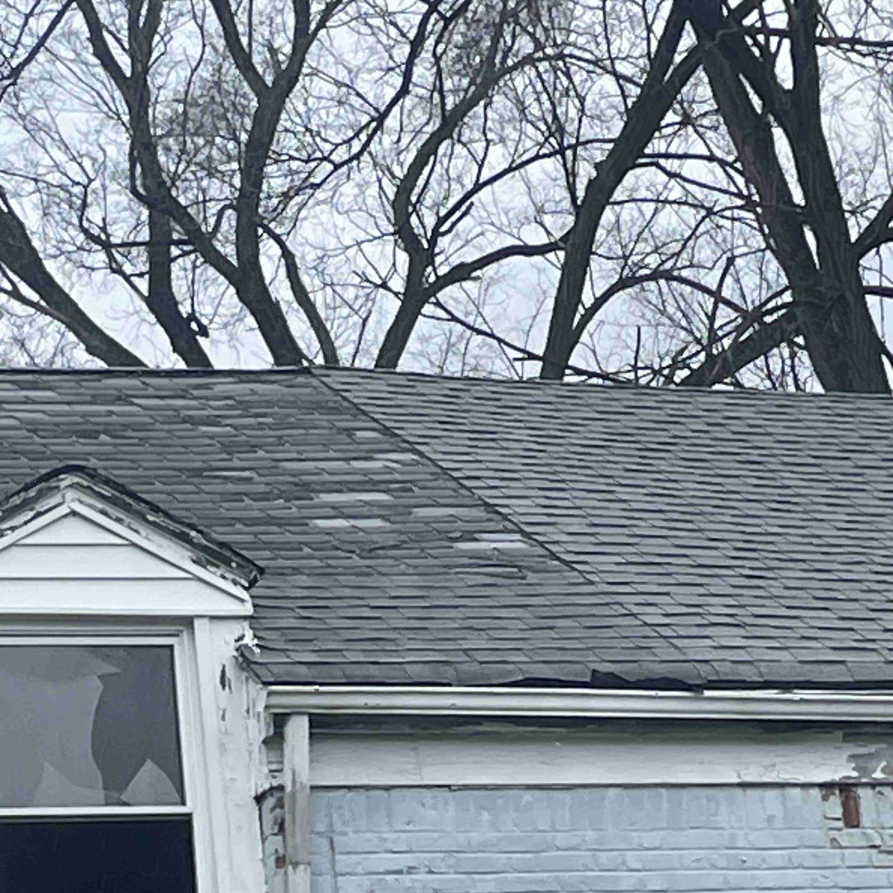 20015 Schoenherr (13).jpg